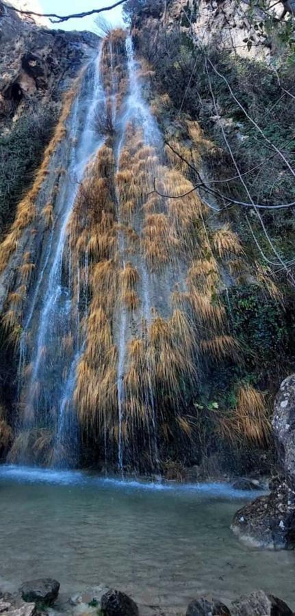 Alojamiento El Recreo Cazorla Esterno foto