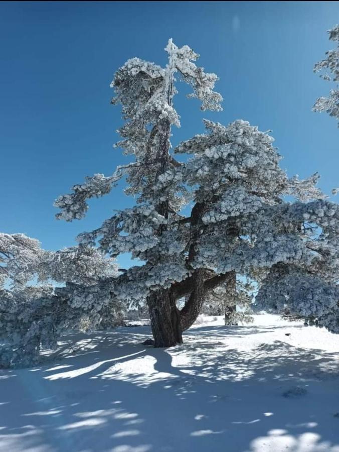 Alojamiento El Recreo Cazorla Esterno foto